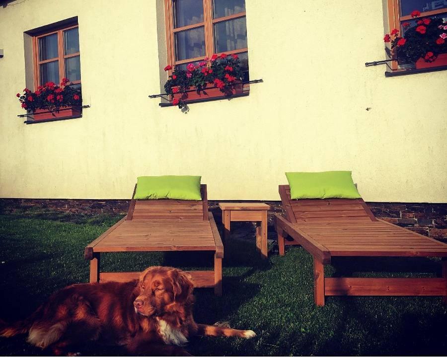 Horský apartmán Zvonička Rejvíz Exterior foto